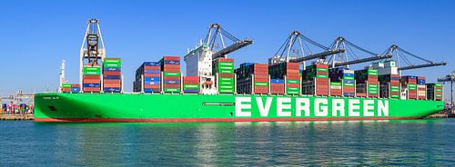 Containerschip Ever Alp aangemeerd bij de containerterminal
