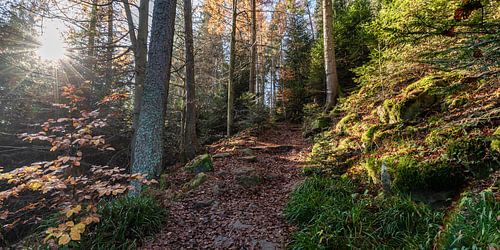 Wandelpad in Bad Wildbad in de herfst - Zwarte Woud