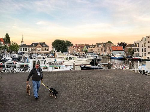 Wie laat de hond uit?