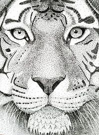 Portrait d'un tigre sur Lianne Landsman