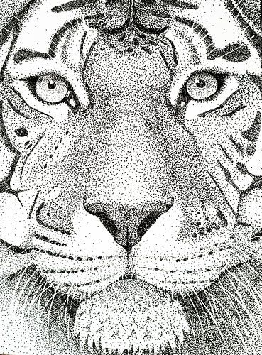 Portrait d'un tigre sur Lianne Landsman