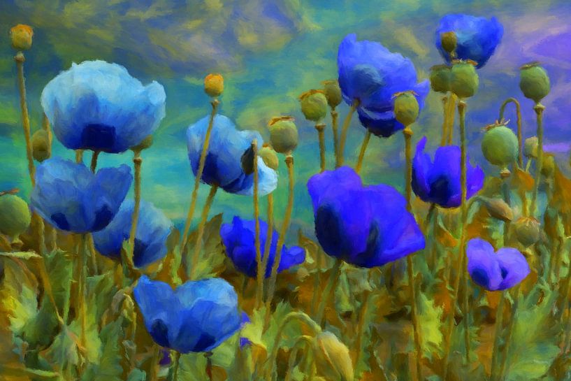 blue poppies van Marion Tenbergen