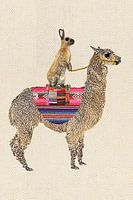 Lama mit Hase