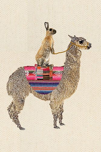 Lama met haas van Green Nest