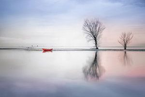 Bäume und rotes Boot am Ufer-01
