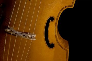 Cello van Maerten Prins