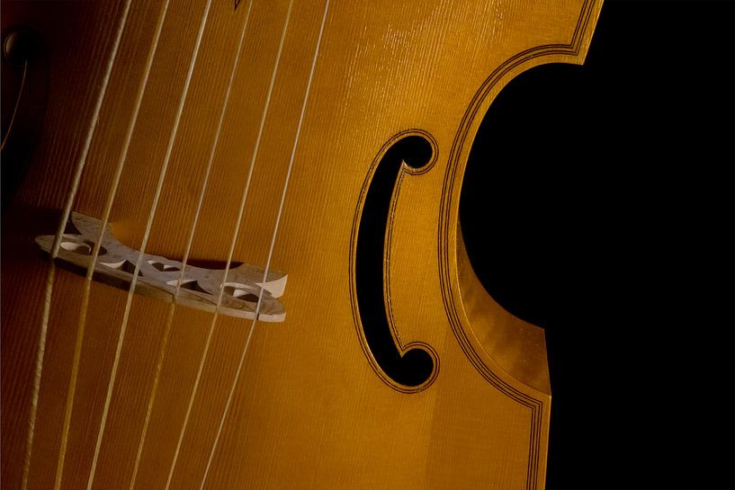 Cello van Maerten Prins