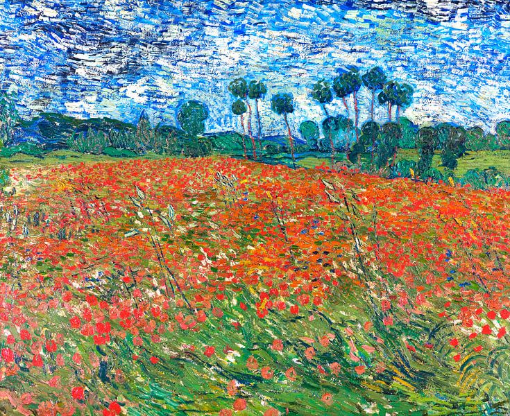 Felder mit Mohnblumen, Vincent van Gogh von Meesterlijcke Meesters