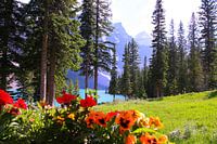 Recreatie aan het meer van Luise - Rocky Mountains