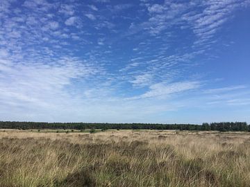 Heather sur Dean Martens