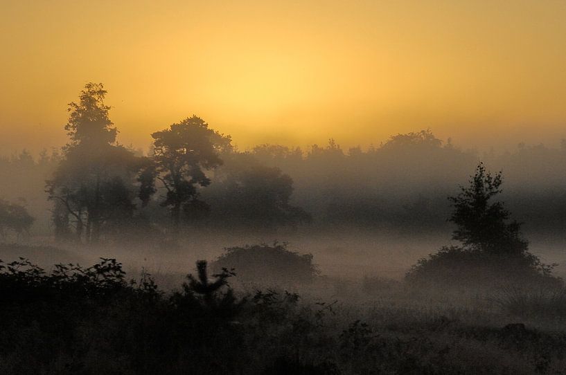 Ochtend Licht by Willem van Leuveren Fotografie