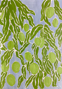 Groene citrusboomgaard