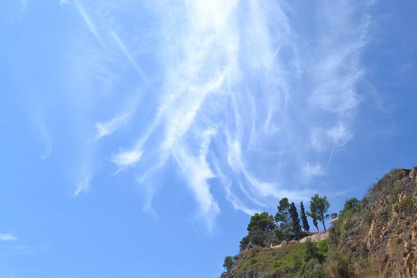 Dancing cloud by Joyce Spijkers