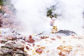 Steamboat Geyser in Yellowstone NP by Devin Meijer
