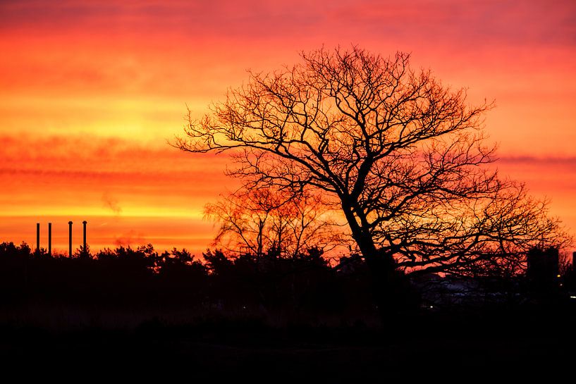 De lucht in vuur van Roland Smanski