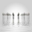 Winter flood. by Jonas Röjestål thumbnail