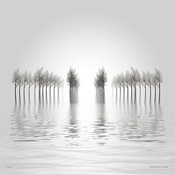 Winterliches Hochwasser.