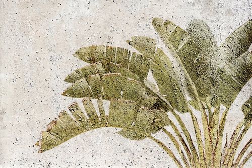 Tropical Wave. Botanische prenten.