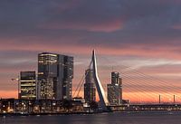 Erasmusbrug rotterdam