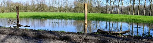 Panoramafoto van de Bossen van Valkenswaard, Nederland