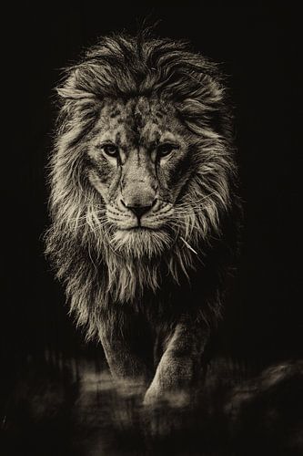 Der denkende Löwe