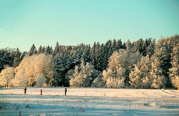 Skipiste door een winterwonderland van Inspiration