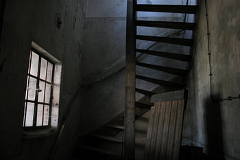 Die Stille der Zeit