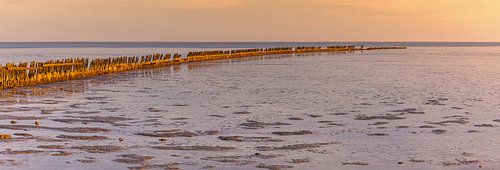Panorama and sunrise over the Wadden Sea