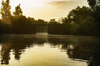 Het Brugge van Sint Jan Biesbosch
