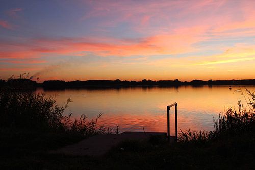 Point of view sur Ruth Van Nierop - Dirks