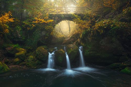 Bridge of Sighs sur Daniel Laan