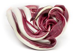 Radicchio Rosso di Treviso by Frans Rombout