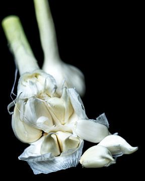 Garlic by SO fotografie