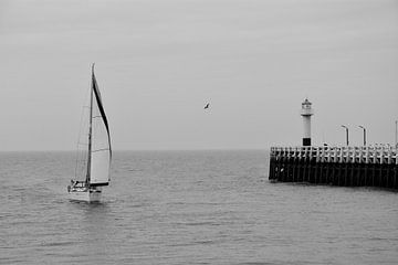 Zee Nieuwpoort van Stef De Vos