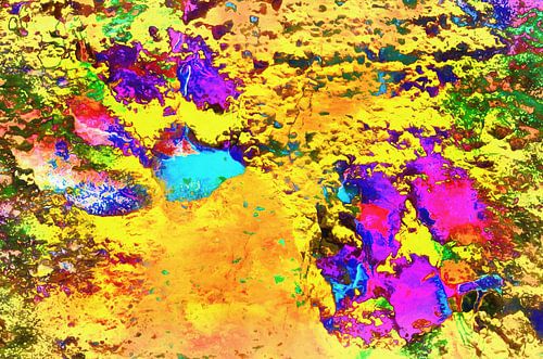 Paw Prints Woestijnzand