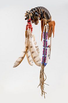 Indianische tanzrassel