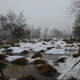 Fotonatuurlijk Profile picture