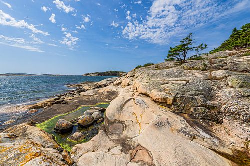 Rotsen en bomen aan de kust van het eiland Saltö, vlakbij Strömstad van Rico Ködder