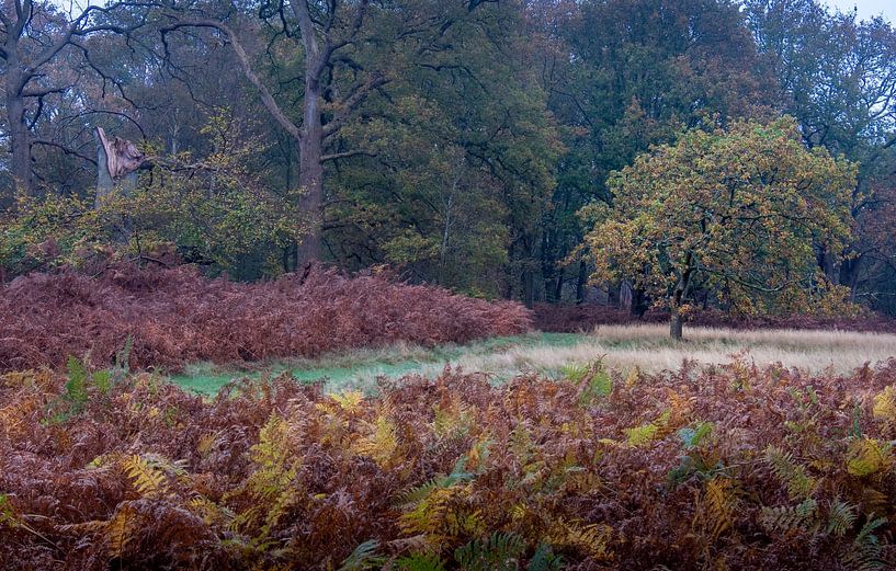 Vogelenzang Landgoed Woestduin van martin slagveld