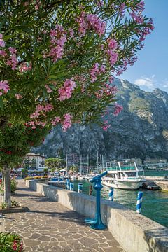 GARDASEE Hafen & Uferpromenade in Limone sul Garda von Melanie Viola