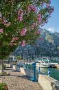 GARDASEE Hafen & Uferpromenade in Limone sul Garda von Melanie Viola Miniaturansicht