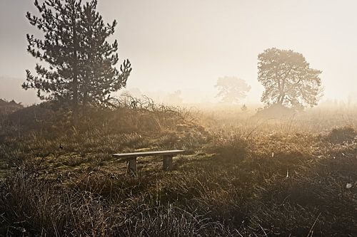 National Park Groote Peel