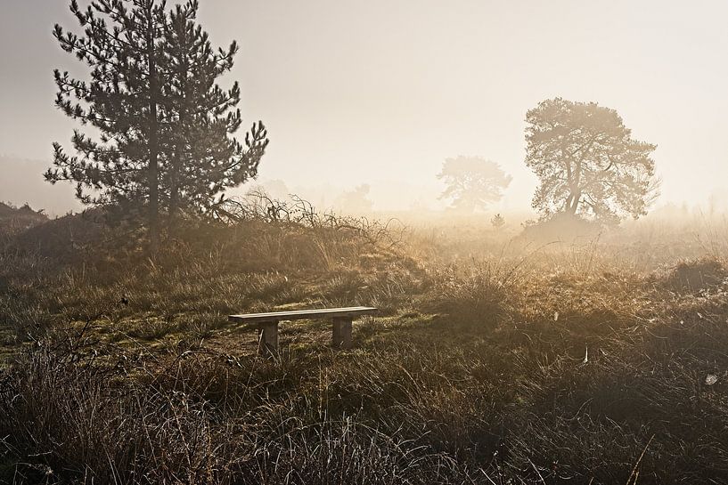 Nationaal park de Groote Peel van Rob Boon