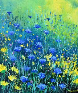Gelbe und blaue Wildblumen