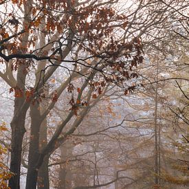 Full enjoyment of autumn! by Marloes ten Brinke