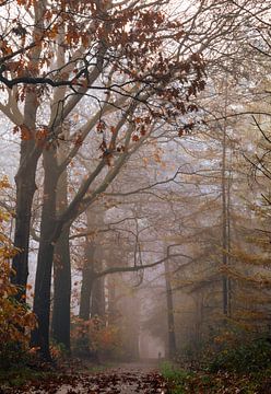 Full enjoyment of autumn! by Marloes ten Brinke