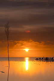 Sonnenuntergang auf den dänischen Watteninseln