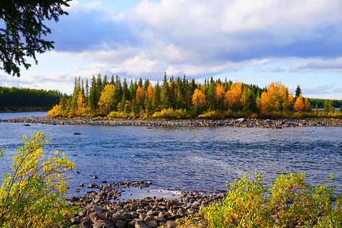 Eiland in de archipel van Zweeds Lapland