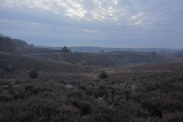 Landschap bij de Posbank van Sander Miedema