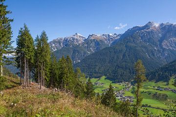 Serles mountain with forest by Torsten Krüger